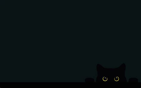 My cat at 5am on the edge of the bed [2880x1800] | Cute laptop ...