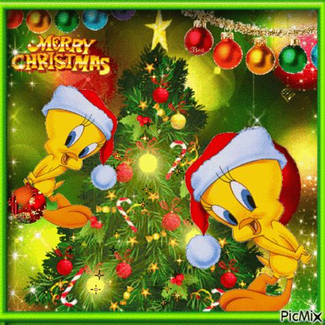 Tweety Pictures, Photos, Images, and Pics for Facebook, Tumblr, Pinterest, and Twitter
