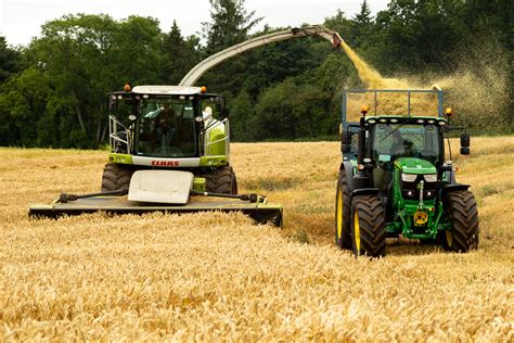 Effective grain processing when harvesting Wholecrop cereals for silage ...