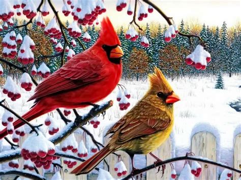 🔥 [40+] Cardinal Wallpapers Winter | WallpaperSafari