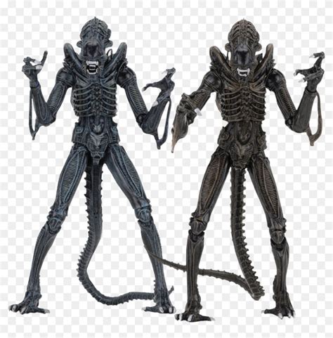 Aliens - Ultimate Alien Warrior Neca, HD Png Download - 876x848 ...