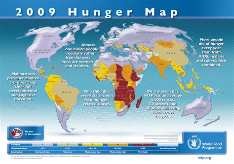 Overpopulation Effects - Everything Connects