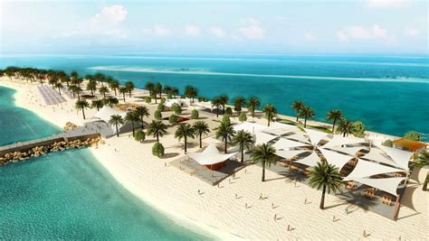 MSC Cruises Launches Sir Bani Yas Island 'Beach Oasis' Destination For ...