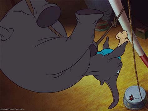 Image - Dumbo-disneyscreencaps com-2362.jpg | Disney Wiki | Fandom powered by Wikia