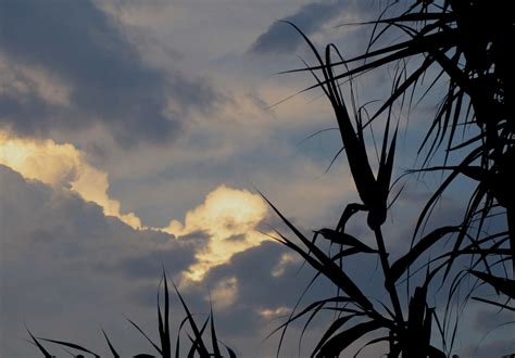 Touched With Light Free Stock Photo - Public Domain Pictures