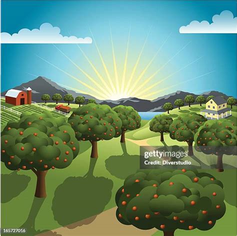 Orchard Photos and Premium High Res Pictures - Getty Images