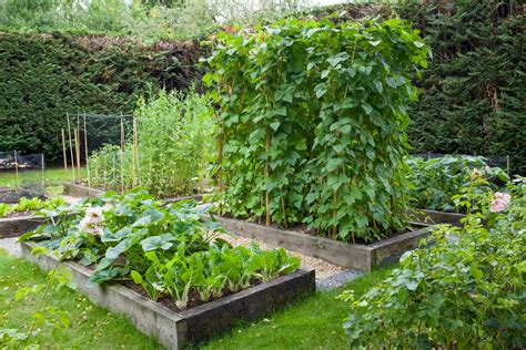 10 Reasons To Start A Raised Bed Vegetable Garden