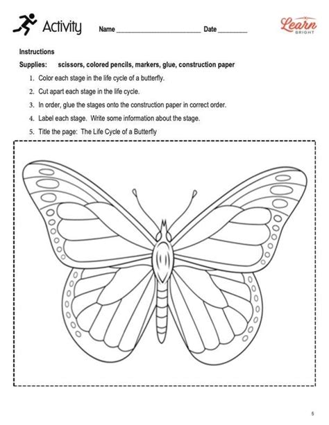 All about Butterflies, Free PDF Download - Learn Bright