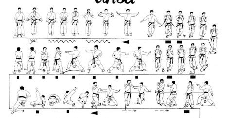 Video Shotokan Karate Kata Unsu - Info Karate