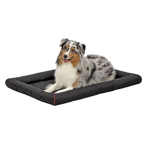 Kong Dog Bed Website - banner frozen food