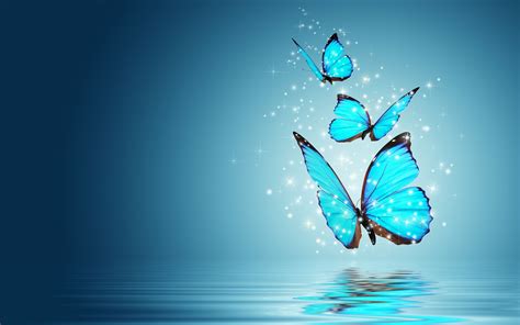 Blue Butterfly Wallpapers on WallpaperDog