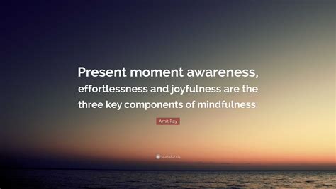 Amit Ray Quote: “Present moment awareness, effortlessness and ...