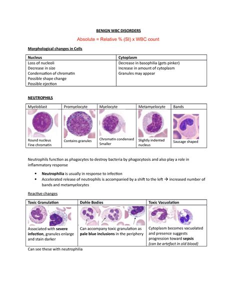 (5) Benign WBC Disorders - BENIGN WBC DISORDERS Morphological changes in Cells Nucleus Cytoplasm ...