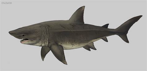 Otodus Megalodon Paleoart by ChicheCM on DeviantArt