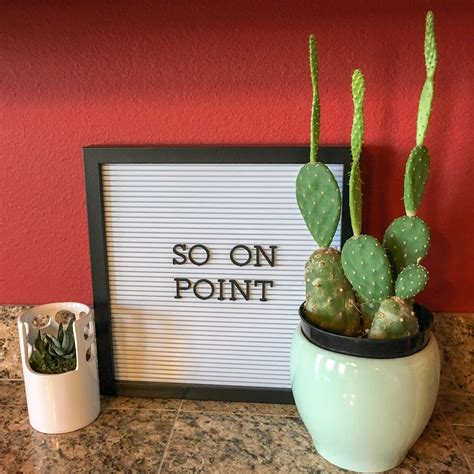 Funny Succulent Plant Quotes - ShortQuotes.cc