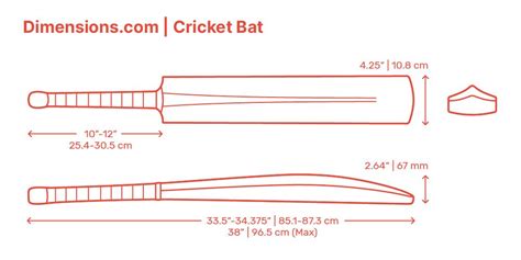 Cricket Bat | Cricket bat, Cricket, Cricket sport