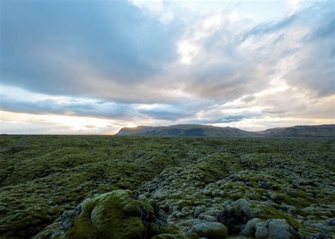 Lava field Iceland - Creative Commons Bilder