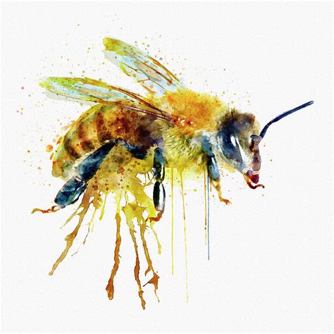 Honey Bee Watercolor at PaintingValley.com | Explore collection of Honey Bee Watercolor