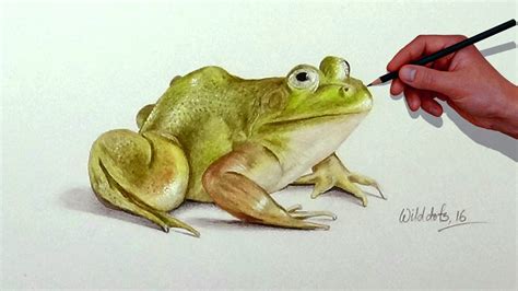 How To Draw A Frog With Simple Colored Pencils | - YouTube