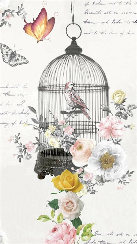 The Birdcage by Winstonsmom, bird cage HD phone wallpaper | Pxfuel