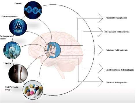 Various factors which cause schizophrenia: factors like genetics ...