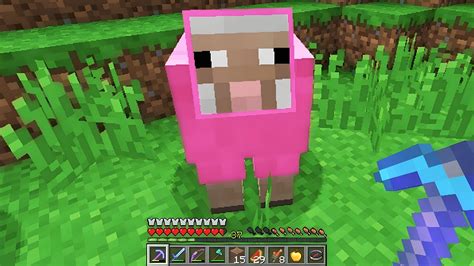 What are the rarest sheep colors in Minecraft? » sakinews