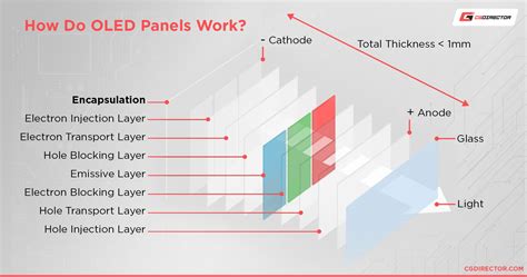 Guide To OLED Monitors [Everything you need to know]