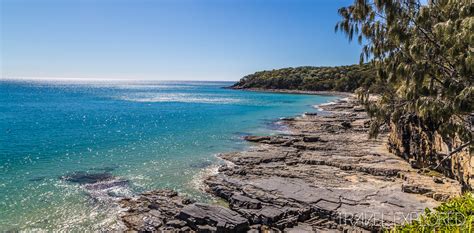 Taking a Walk at Noosa National Park - Travel Explored