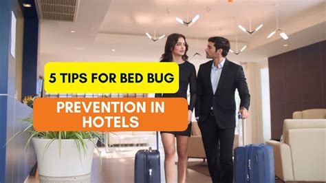 5 Tips for Bed Bug Prevention in Hotels | TechPlanet