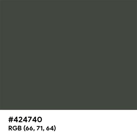 Black Forest Green color hex code is #424740