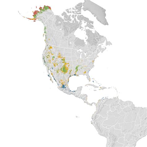 Western Sandpiper - Range map - eBird Status and Trends