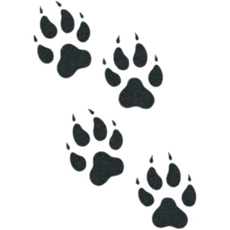 dog paw prints - Inspire Uplift