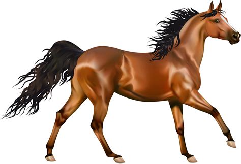 Horse Png : High quality transparent png pictures or layered psd files, 300 dpi, fast download ...