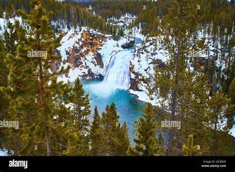 Pine trees frame serene blue waterfalls in winter at Yellowstone Stock Photo - Alamy