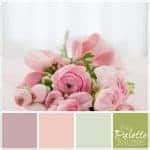 Pretty Pink Palette - The Palette Muse