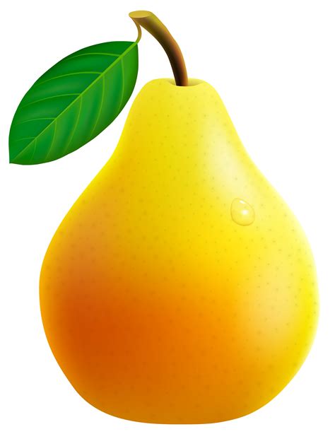 Pear Fruit Clip art - pear png download - 2761*3581 - Free Transparent Pear png Download. - Clip ...