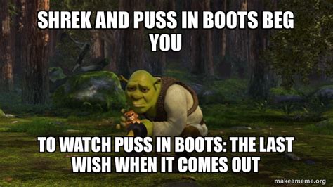 Shrek 2 - Puss in Boots The Last Wish Meme by SuperMarioFan65 on DeviantArt