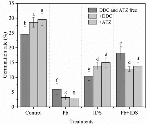 Plants | Free Full-Text | Chelator Iminodisuccinic Acid Regulates Reactive Oxygen Species ...