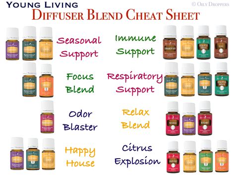 Young Living Diffuser Blend Cheat Sheet (8 Popular Combinations)