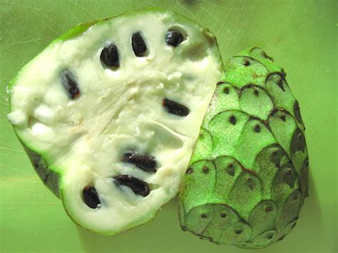 Cherimoya - Fruit, Tree, Seeds, Nutrition, Growing, Uses and Recipes ...