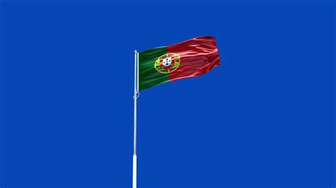 Portugal National Flag 28695556 Stock Video at Vecteezy