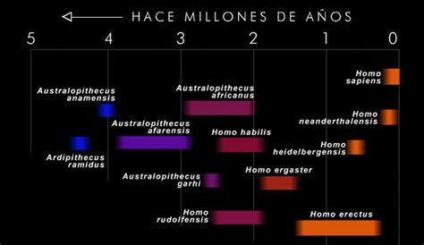 Exploratorium : Evidencia: Haciéndole Seguimiento a los Hallazgos sobre Fósiles: La Historia de ...