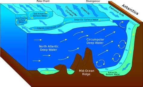 Antarctic Convergence And Divergence Clipart - Full Size Clipart (#882959) - PinClipart