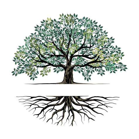 Oak Tree And Roots Logo With Text Space, Oak Tree, Logo, Roots PNG and Vector with Transparent ...