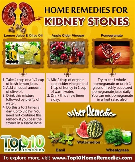 HOME REMEDIES FOR KIDNEY STONES ~ Mzizi Mkavu