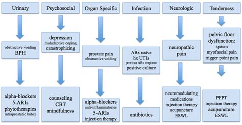 Multi-modal therapy options for CP/CPPS patients, classified by UPOINT ...