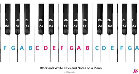 How to Label Piano Keys? [Pictures Included] - EnthuZiastic