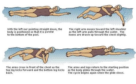 The Various Swimming Strokes