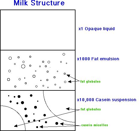 Dairy Chemistry and Physics