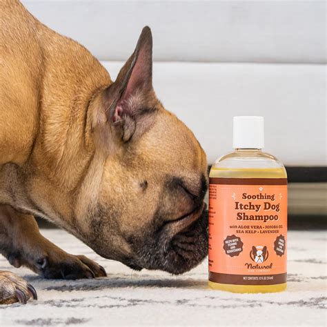 Skin & Coat System Featuring Wild Alaskan Salmon Oil – Natural Dog Company